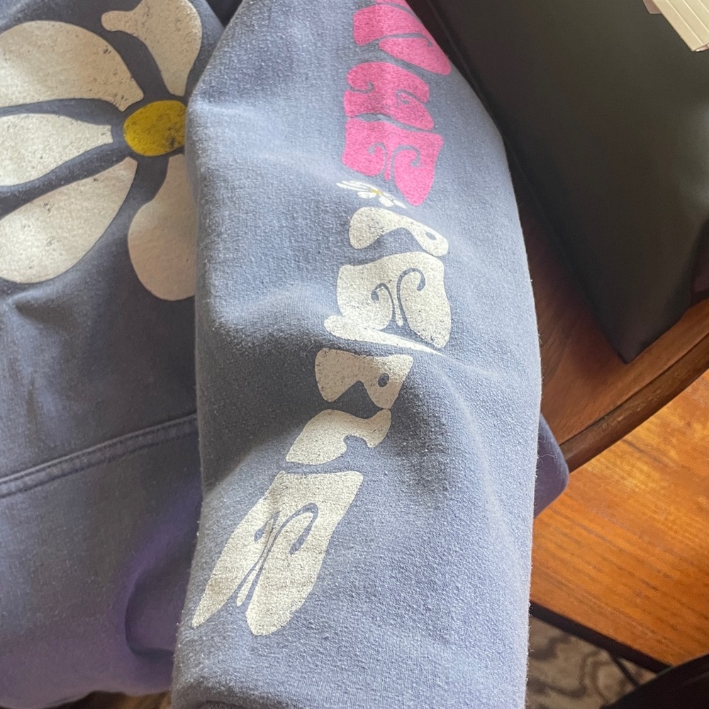 BDG Light Blue Pullover Hoodie with Flowers For the People Logo - Picture 5 of 5